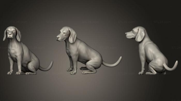 Статуэтки животных (Osie, STKJ_2375) 3D модель для ЧПУ станка